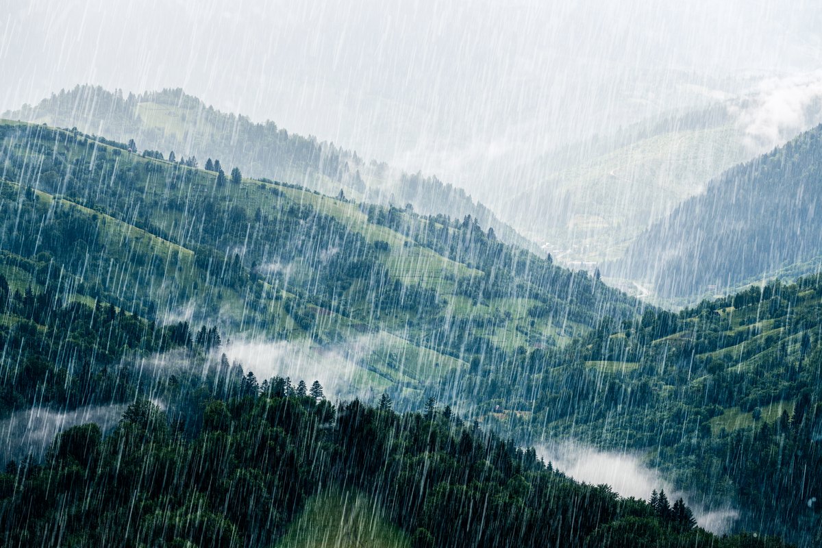 The developed image: recovered contrast, deeper greens, reduced haze, more depth.